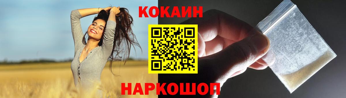 как найти закладки  COCAIN Fish Scale  Елизово  Cocaine  Вход с VPN  КОКАИН 98% 